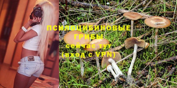гашиш Ельня