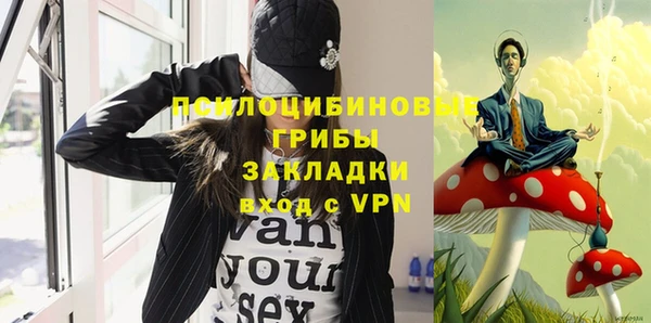 гашиш Ельня