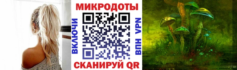 Купить где  Балабаново  Псилоцибиновые грибы мицелий 