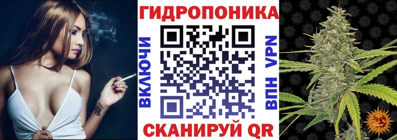 Купить закладки Балабаново Канабис план